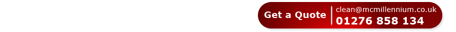 mc millennium logo